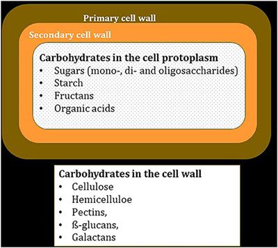 Frontiers | Non-fiber Carbohydrates In Forages And Their Influence On ...